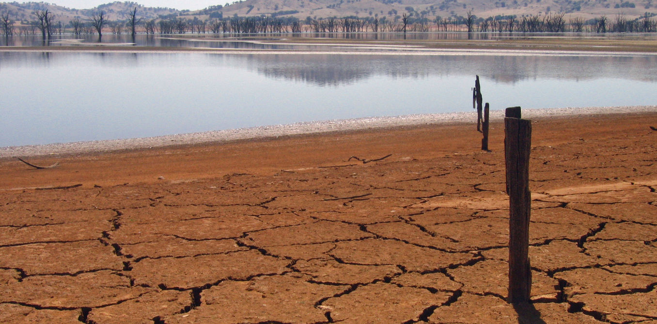 The Lessons to Learn In Order to Deal with Droughts