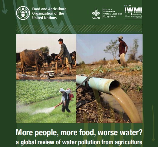 Global Review of Water Pollution from Agriculture by FAO