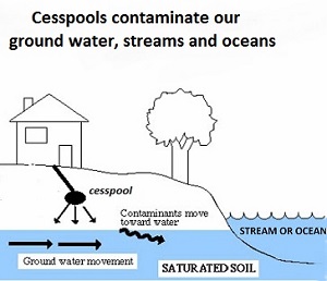 Hawaii Bans New Cesspools, Offers Tax Credit to Upgrade to Sewer or Septic System