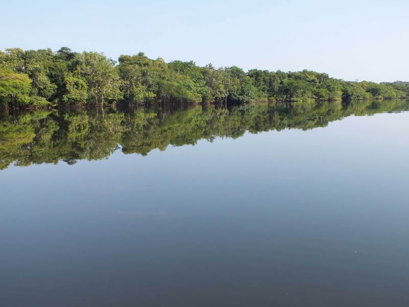 Protection for Brazilian Wetlands