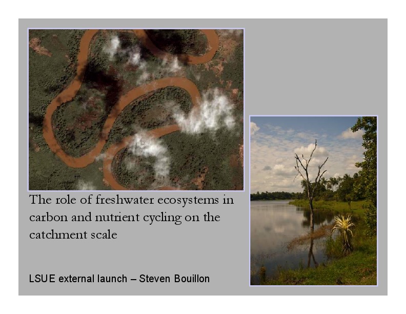 The Role of Freshwater Ecosystems in Carbon and Nutrient Cycling on the Catchment Scale