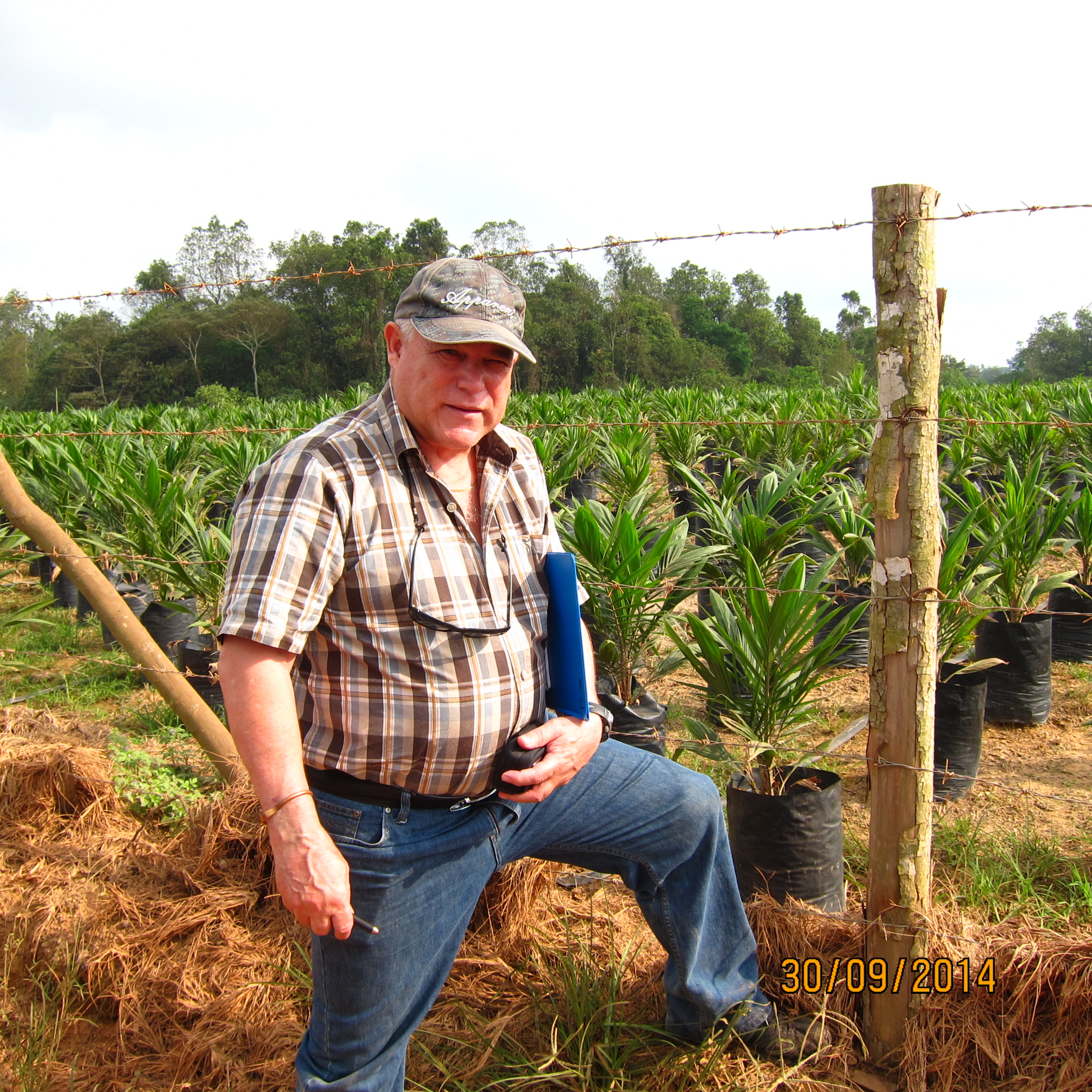 Pete Botha, PT Hutan Agri Lestari - Director