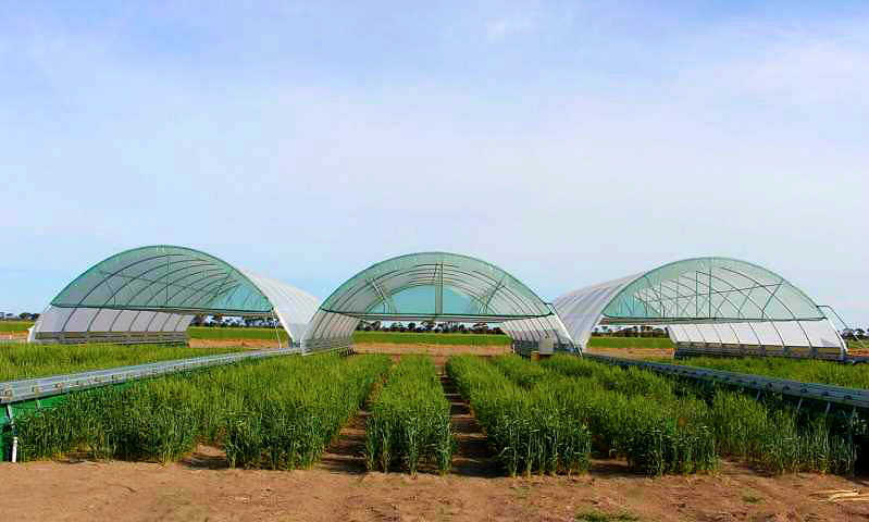 Rainout Shelter for Crop Testing