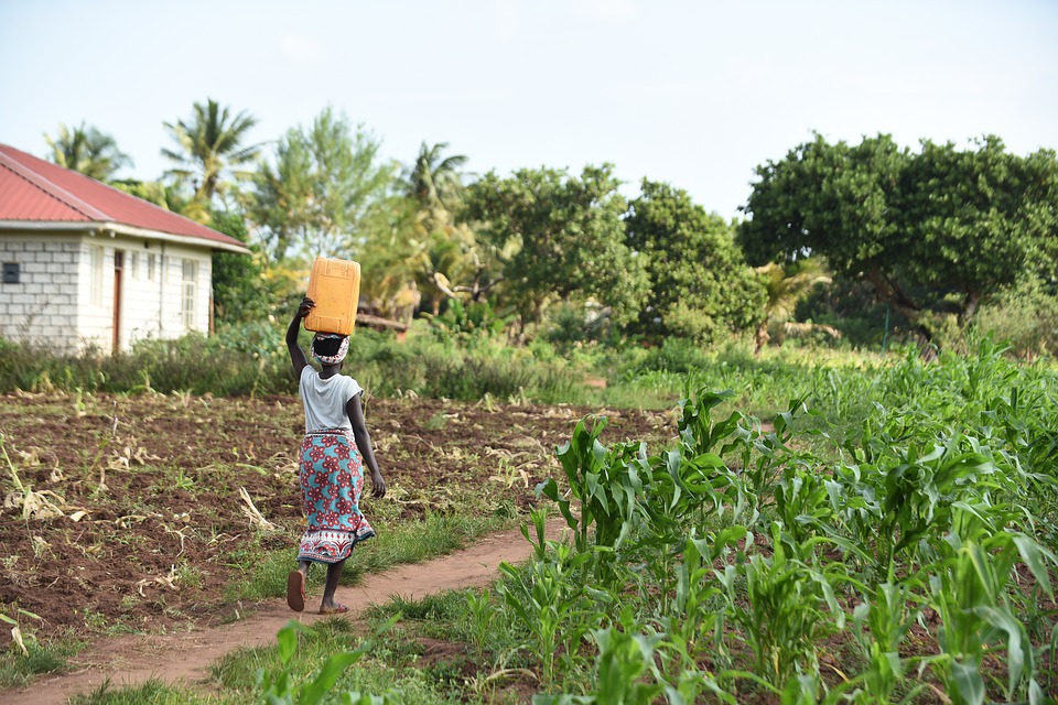 Water Treatment Cuts Parasitic Roundworm Infections Affecting 800 Million People