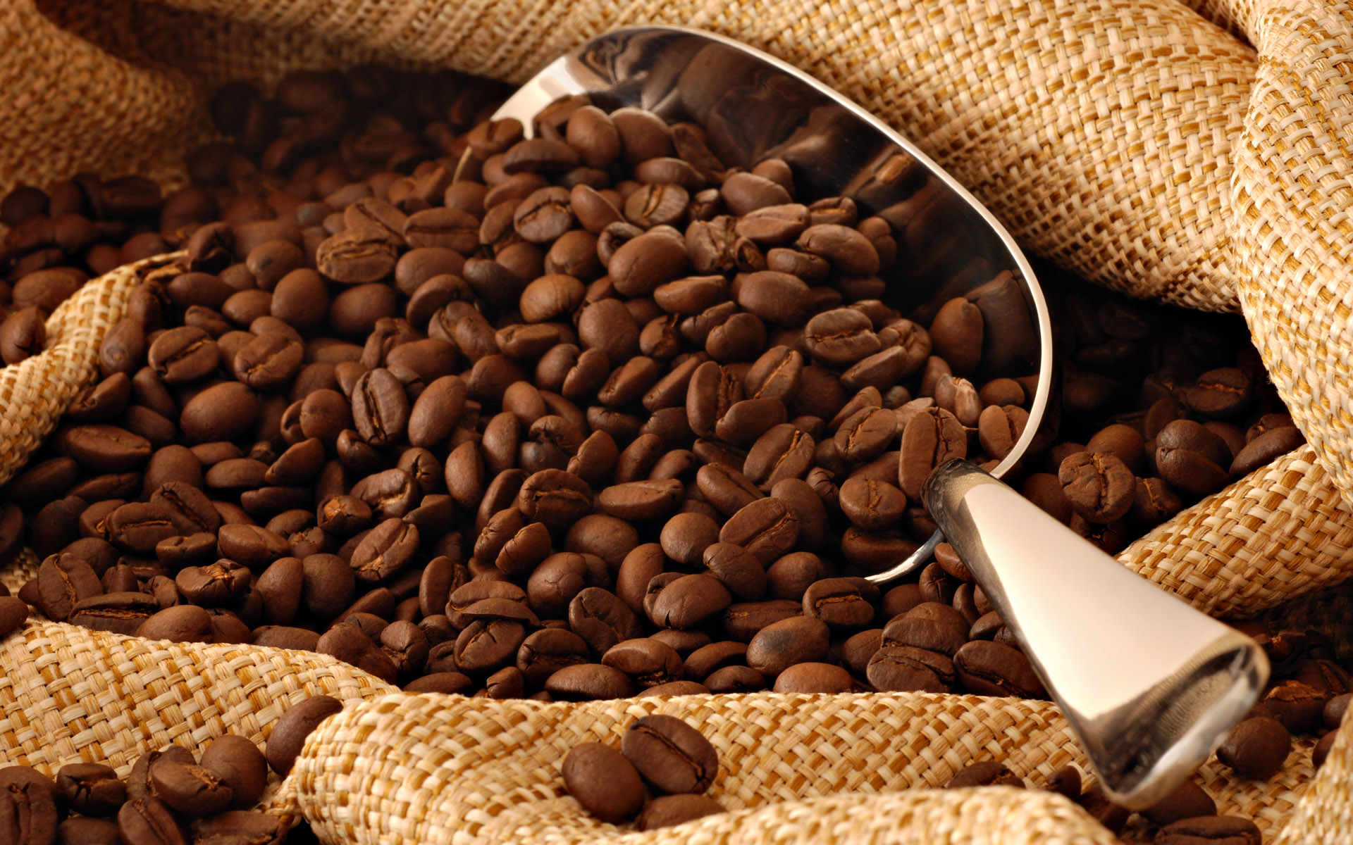 Farmers Generate Energy from Coffee Wastewater