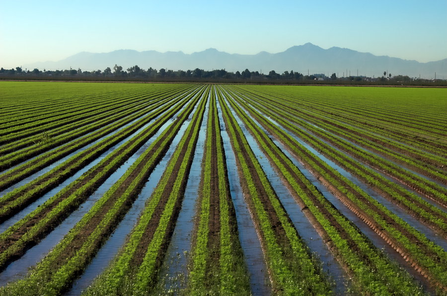 Innovation in US Irrigation