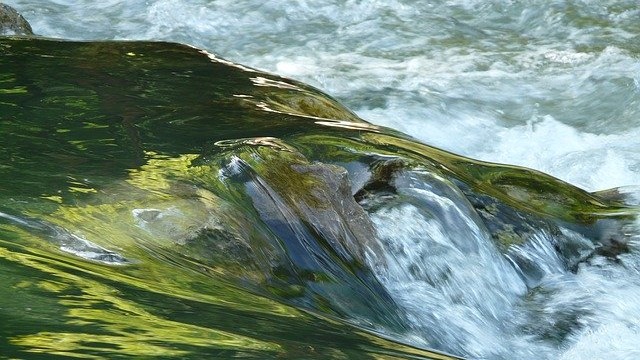 PFAS Found Throughout River Food Chain