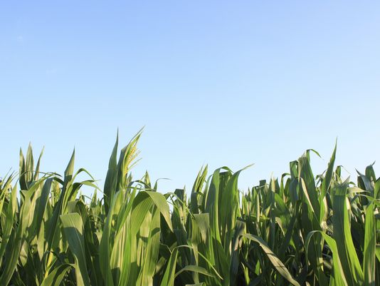 Water Quality Top Issue at the Iowa Ag Summit