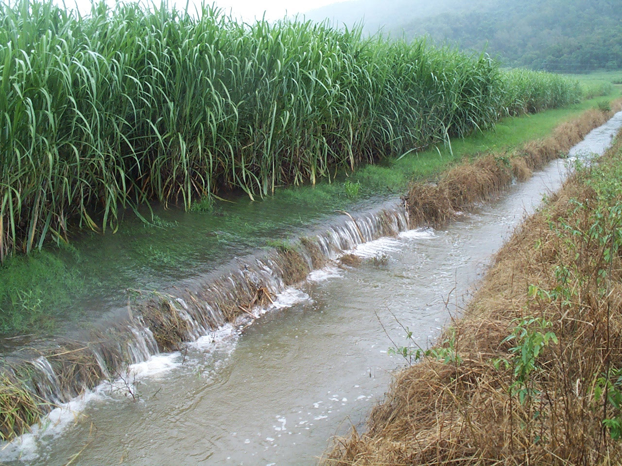 Study Ties Phosphorus Loading in Lakes to Extreme Precipitation Events