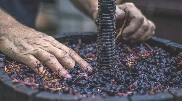 Washington Ecology Sets Rules for Winery Wastewater