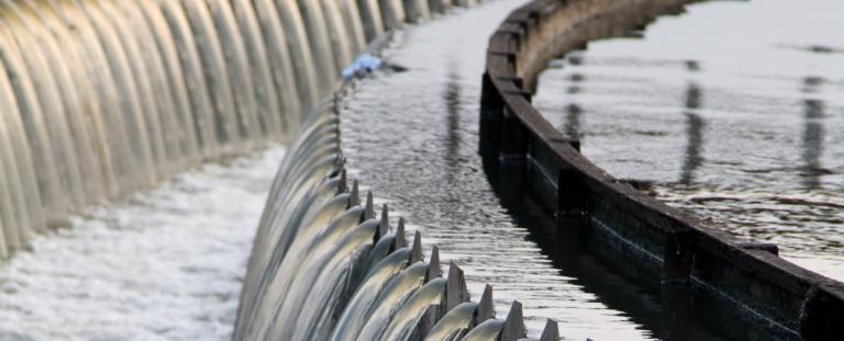 Indian Wastewater Purification Tech Wins Google Pitch Fest