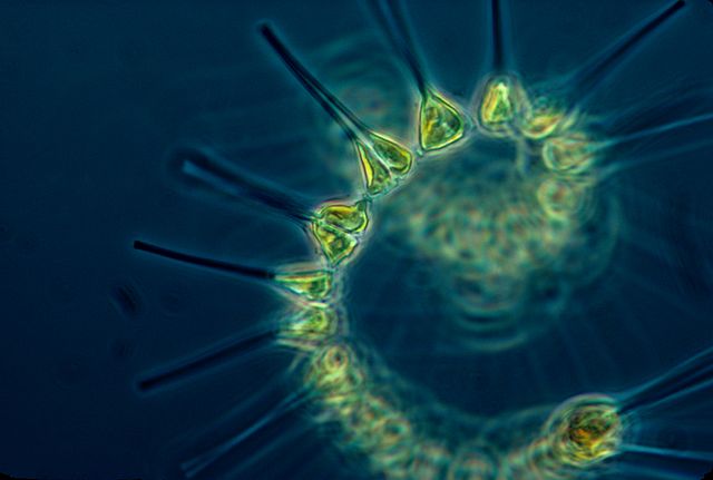 A Sea Change - MIT Research