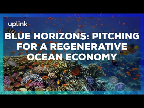 Blue Horizons: Pitching for a Regenerative Ocean Economy