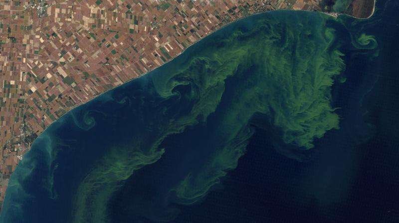 Using Satellite Data to Prevent Algal Bloom