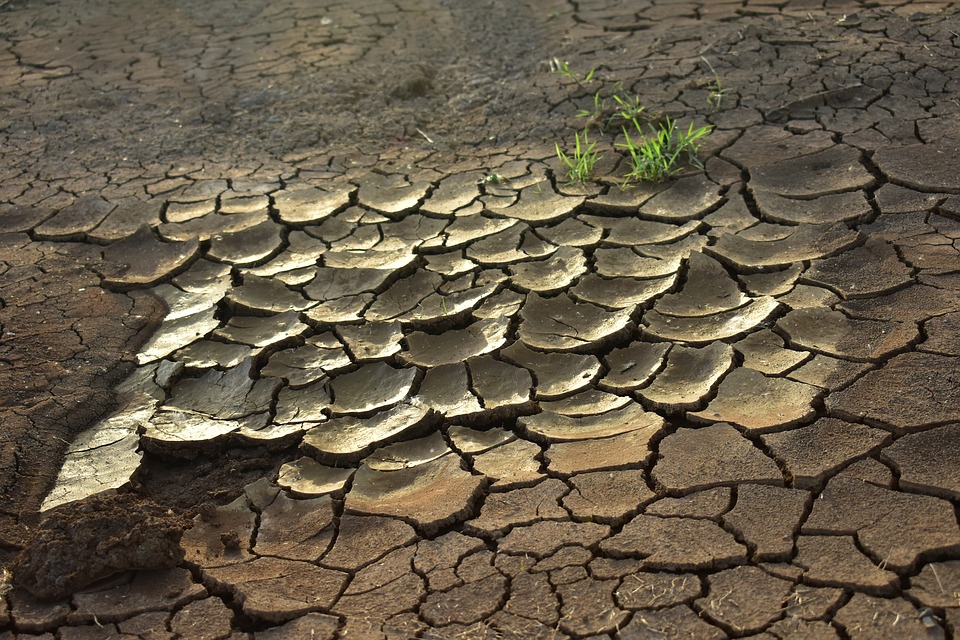 Climate Change Intensifies Droughts in Europe