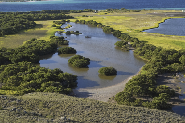 Yunnan tops in China for wetland biodiversity