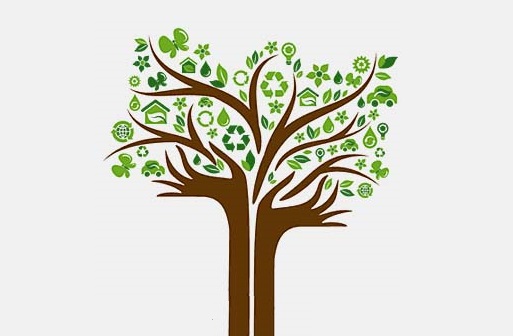 Businesses and Sustainability