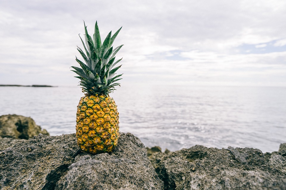 Renewable Energy From Pineapple Waste Water