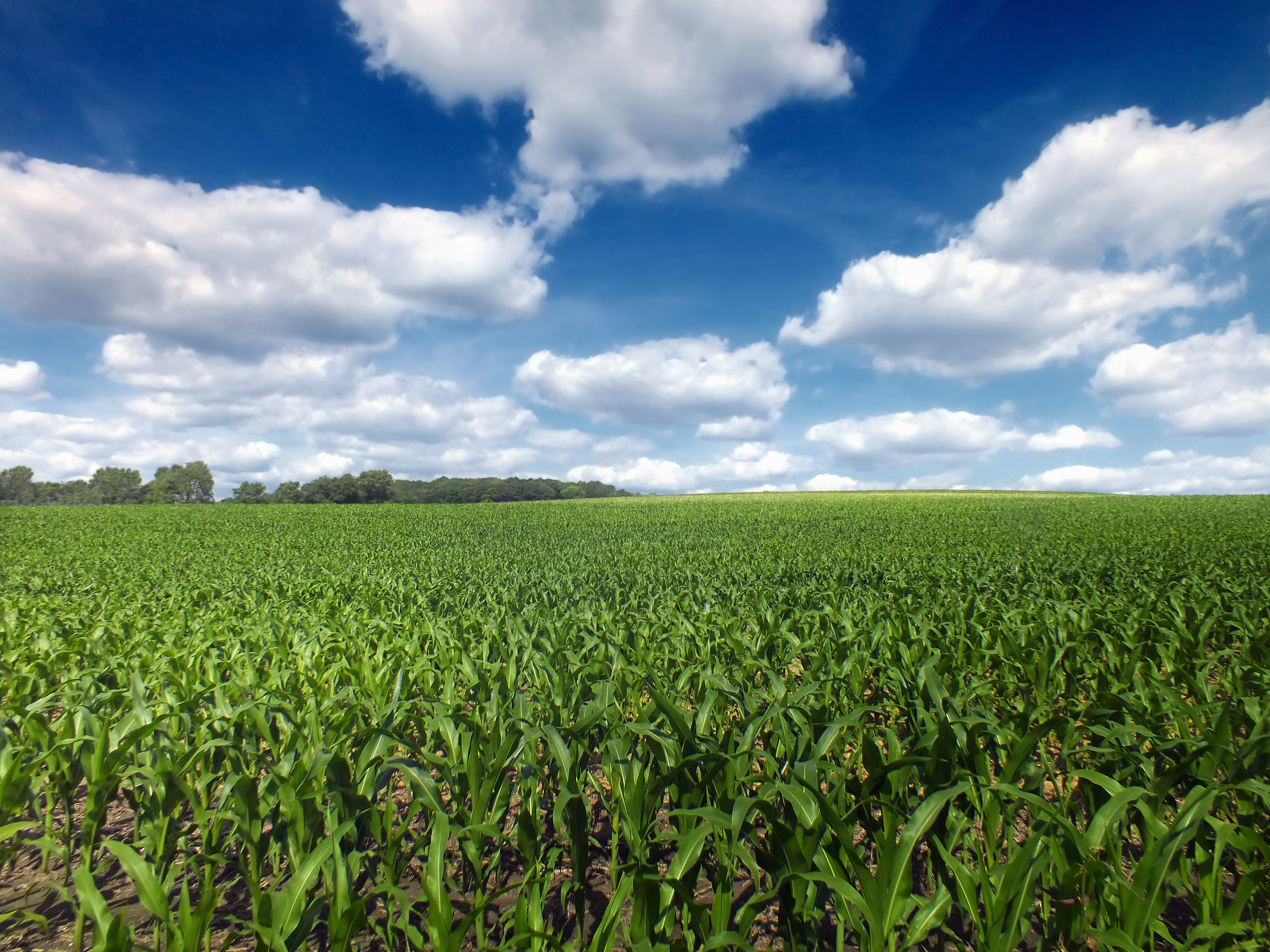 Agricultural Region in China Drying Out