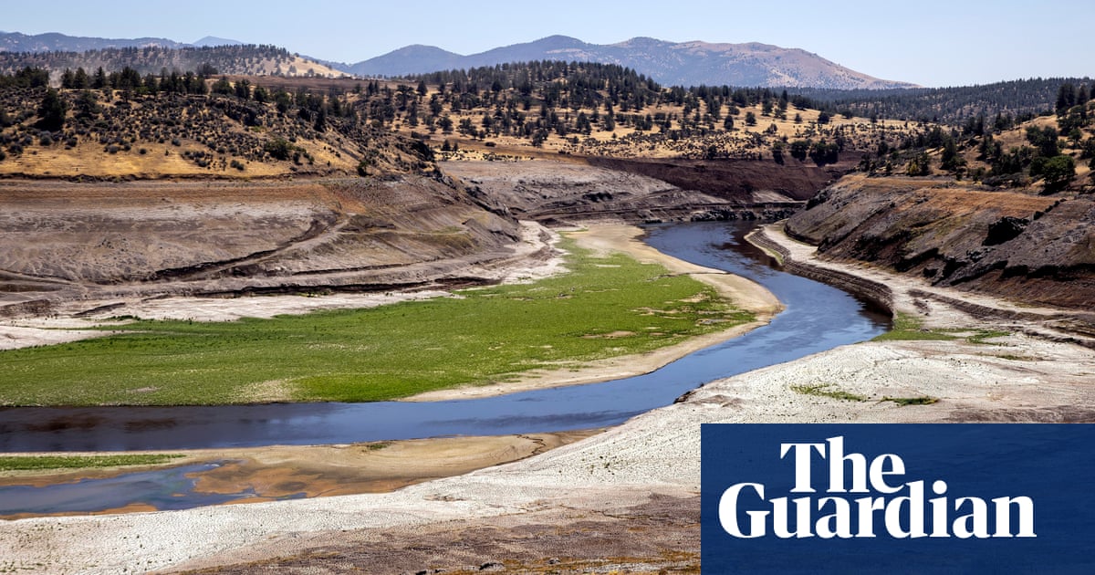 Salmon swim freely in river for the first time in 100 years after dam removal project: &#039;I am incredibly humbled to witness this&#039;For the first ti...