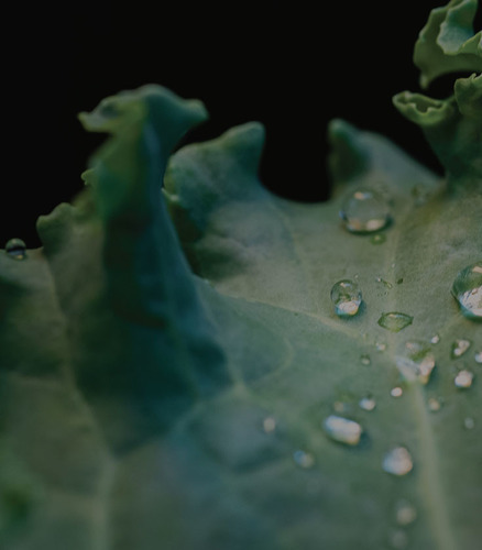 Are We Flushing Our Food Security Down The Toilet? Here is an article that I wrote about the interplay between wastewater and the current fertil...