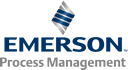 Emerson Process Management