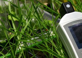 Measuring Temperature of Plants to Save Water