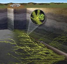 New Resin Coated Proppant Technology for Fracturing