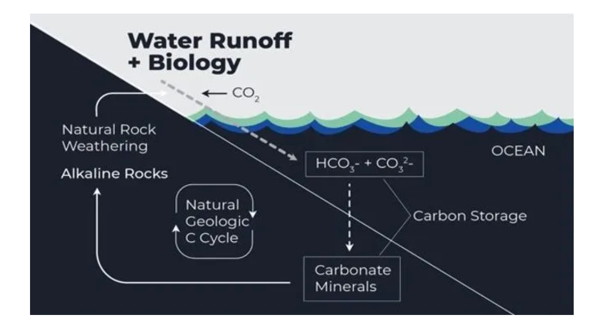 Carbon-capture kings: Planetary Technologies lands US$1M prize from Musk Foundation