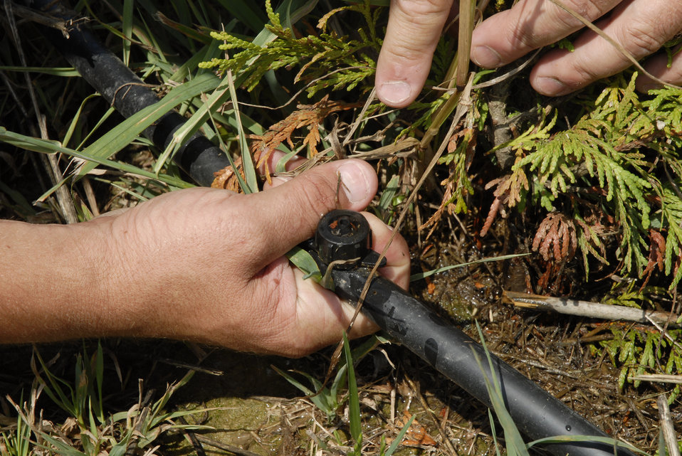 Low Pressure Drip Irrigation for Agriculture