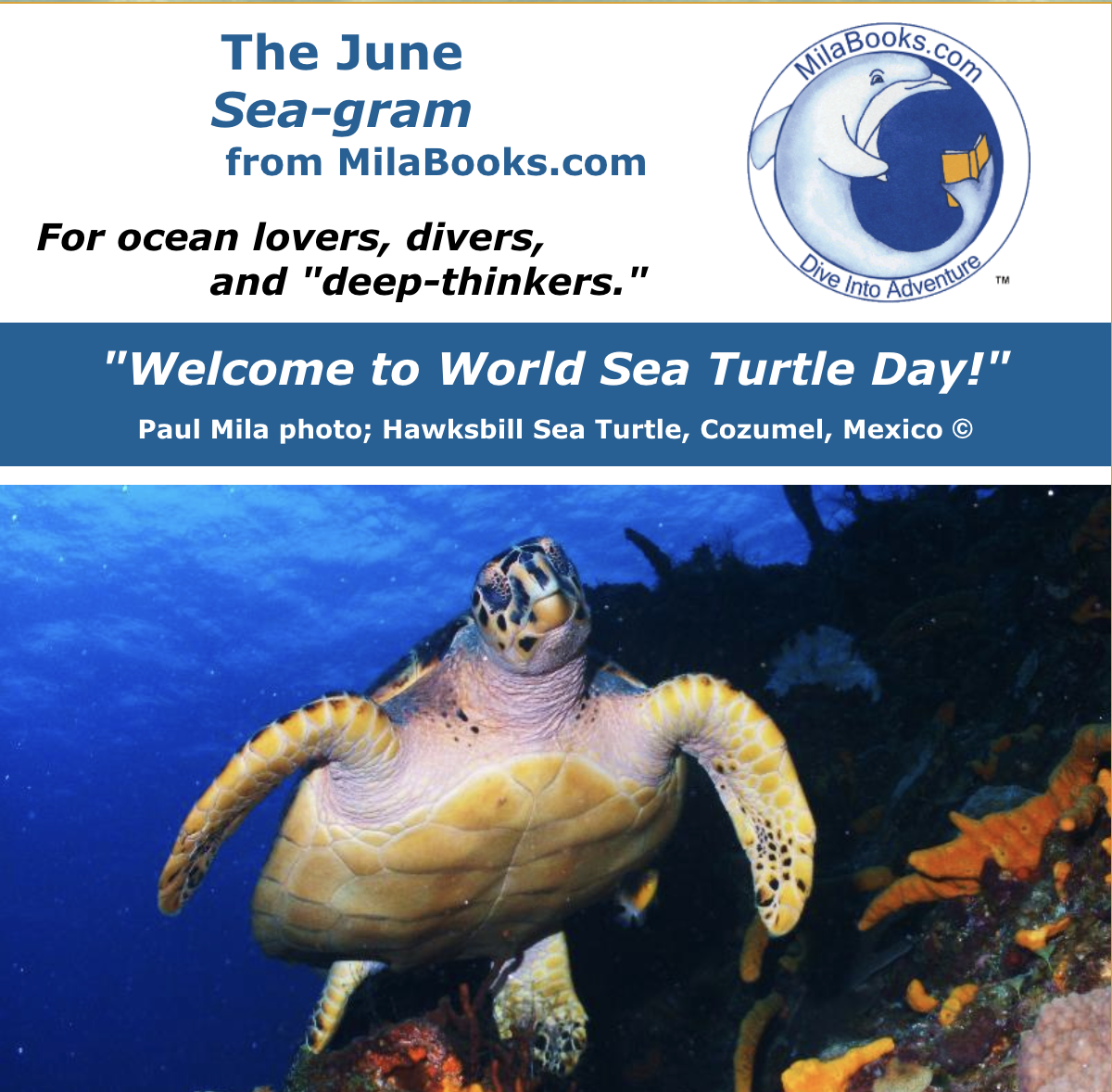Welcome to the June 2022 Sea-gram, from MilaBooks.comThis month we&#039;re featuring sea turtles as we celebrate World Sea Turtle Day, June 16th. Lot...