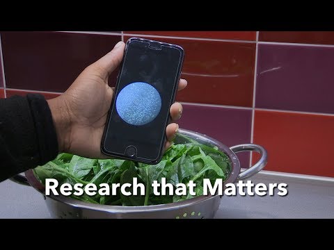 New, Low-Cost Tool for Detecting Bacteria in Food and Water