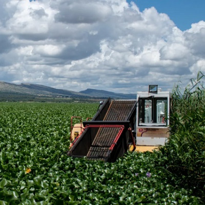 Hope for Hartbeespoort Dam Water Quality as New &lsquo;Nanobubble&rsquo; Technology Starts to Bite | STATNANO