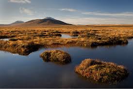 Welsh Water Restores Ecosystems