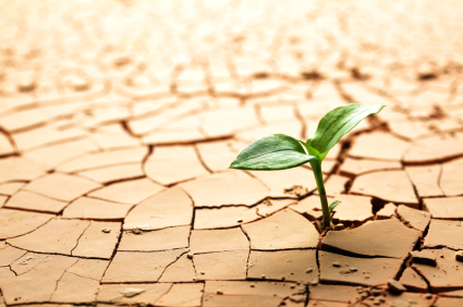 US Administration's Strategy to Build a Sustainable Water Future
