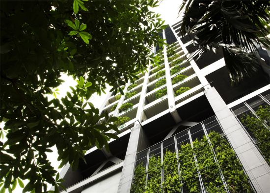 Modern Skyscrapers Are Green and Sustainable