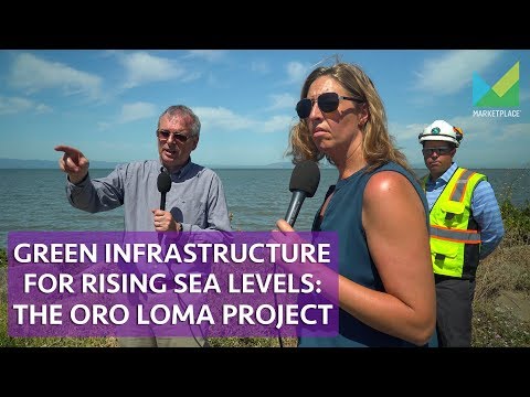 Horizontal Levee Adaptation: Green Infrastructure for Rising Sea Levels (Video)