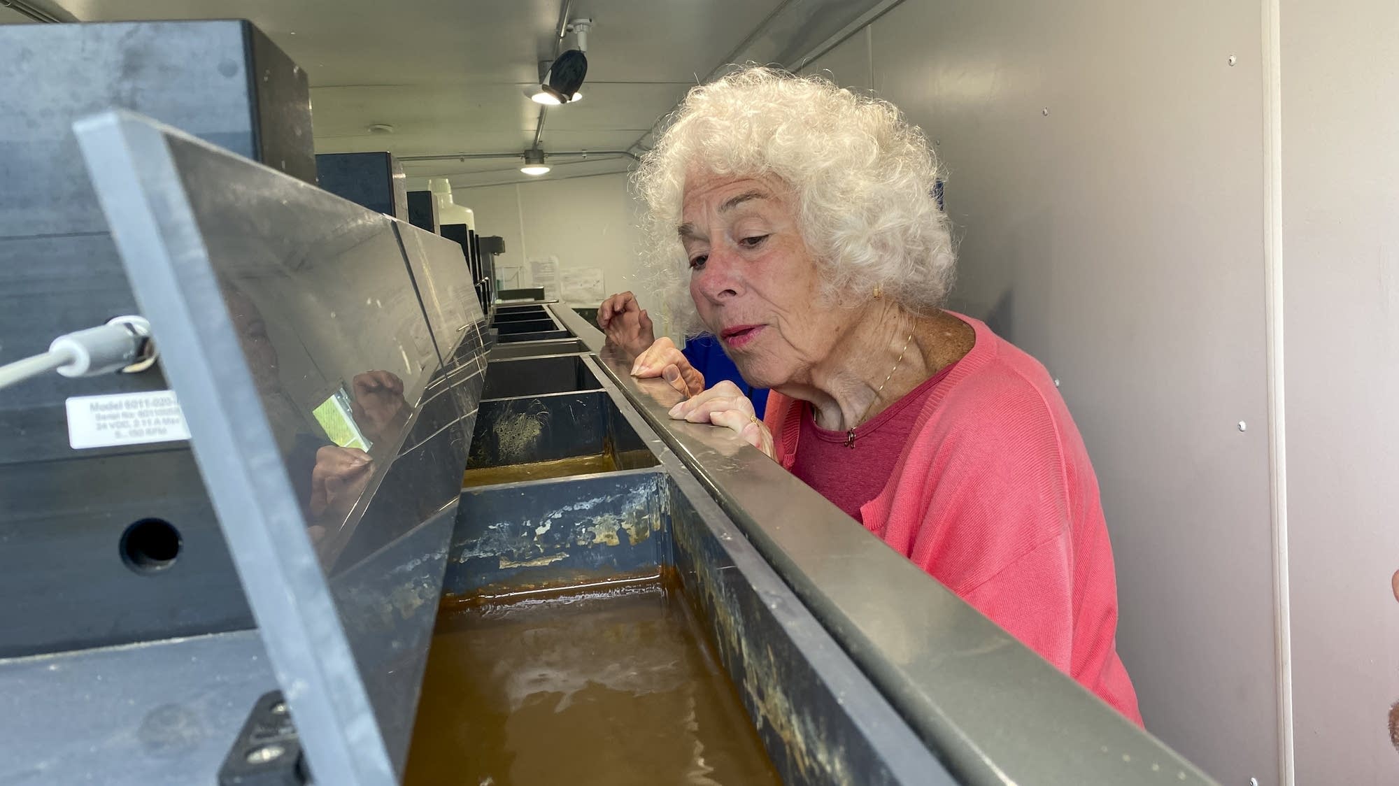 Northern Minnesota researchers close in on sulfate pollution solution&nbsp;Outside the wastewater treatment plant in the Iron Range town of Aurora, ...