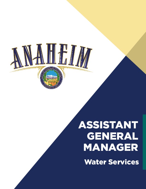Assistant General Manager