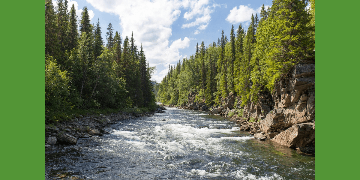 Canadian Environmental Law Association (CELA) World Water Day Highlights the Need for Water Justice