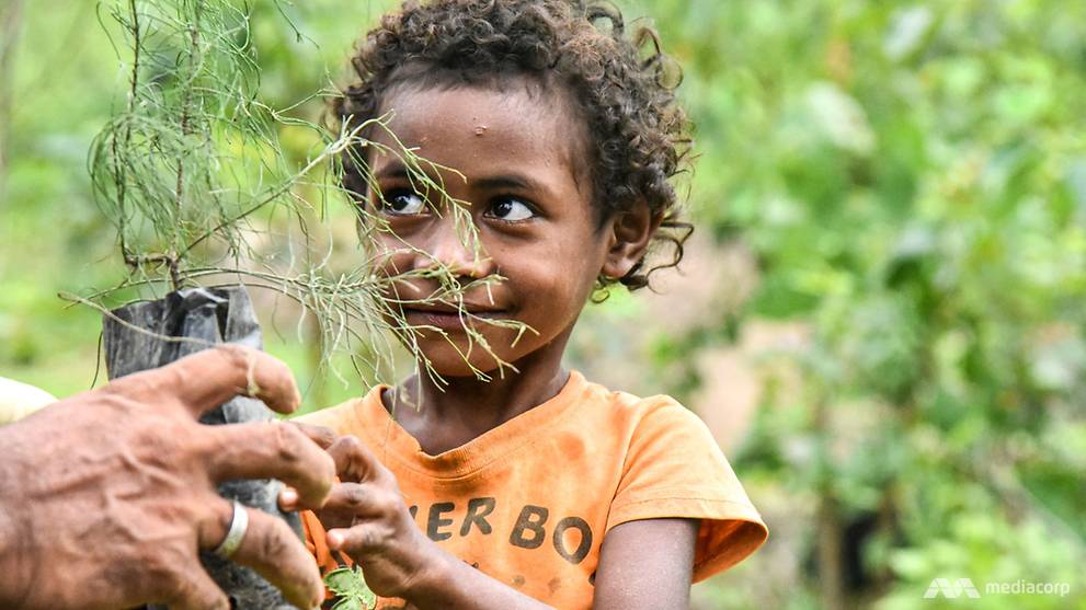 Turning sunlight into water: New technology and old knowledge to stop Timor-Leste from running dryThe locals from Akrema village on the remote i...