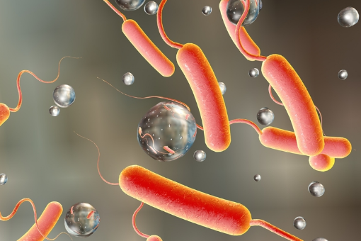 How Cholera Spreads and Why It's So Deadly