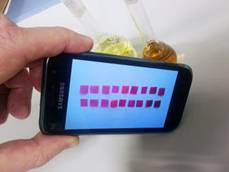 Use your cell phone to detect mercury levels in water