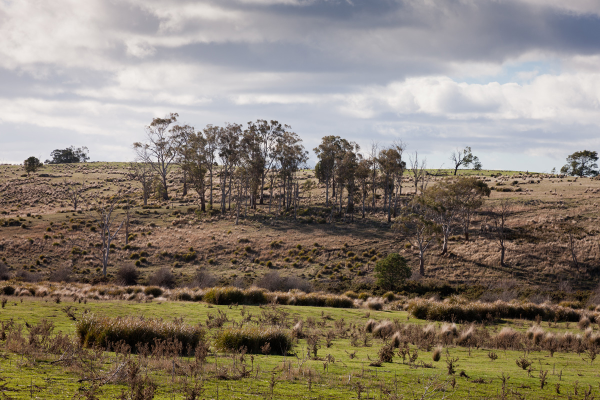 Water Flows in Tasmania's Dry Midlands