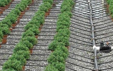 Netafim to Reveal New Drip Irrigation Solutions 