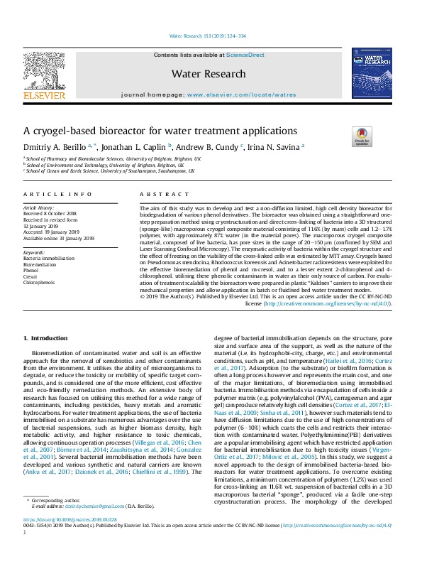 A Cryogel-based Bioreactor for Water Treatment Applications