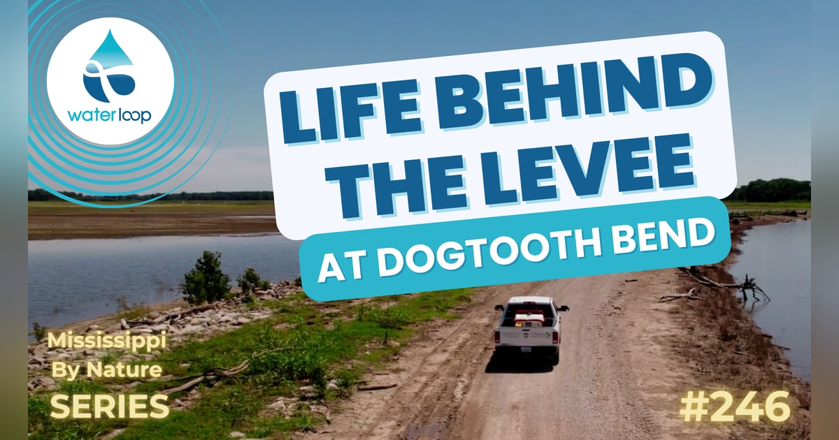 Life Behind The Levee At Dogooth Bend | Episode 246