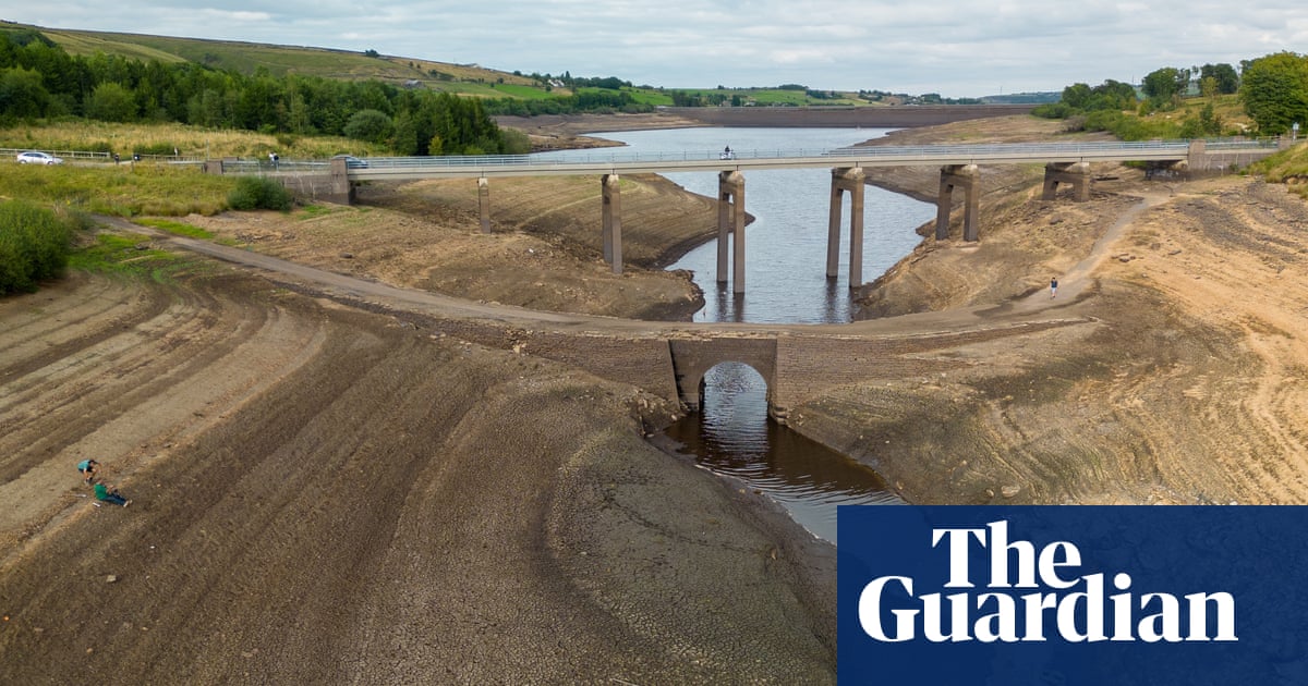 Drought conditions already hitting UK crop production, farmers sayCrops are already failing in England because of drought conditions this spring...