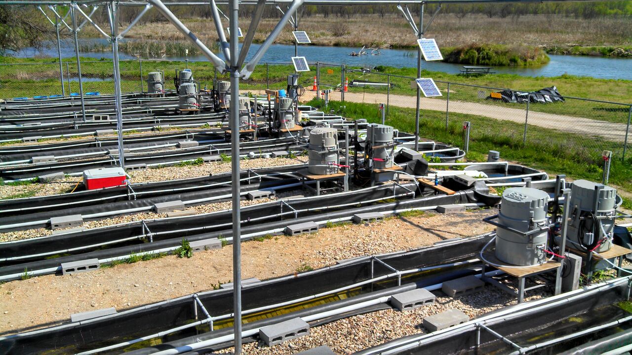 Herbicide With no Long-term Effect on Water