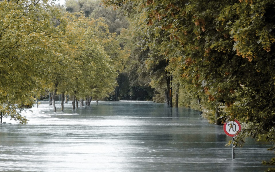 Studying Microbial Contaminants in Waterways After Hurricane Harvey